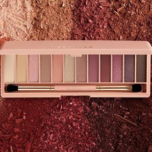 پالت سایه 12 رنگ شیگلم مدل Berry